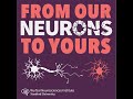 Aging and Brain Plasticity | Carla Shatz