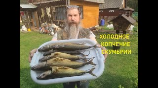 СКУМБРИЯ ХОЛОДНОГО КОПЧЕНИЯ .Как закоптить.