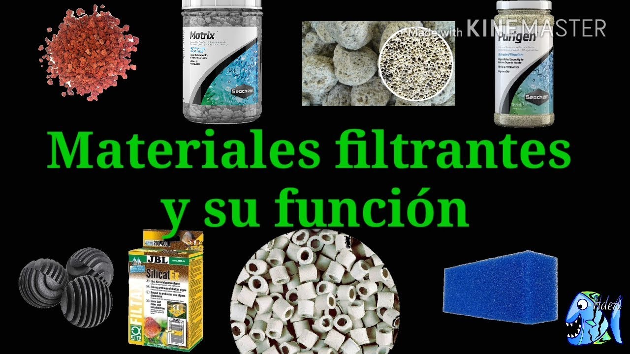 Hablar con Chispa  chispear A bordo Diferentes tipos de Materiales filtrantes para acuario y su función -  YouTube