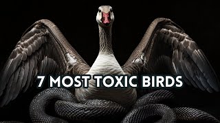 Deadly Plumage: 7 Toxic Birds You Never Knew Existed