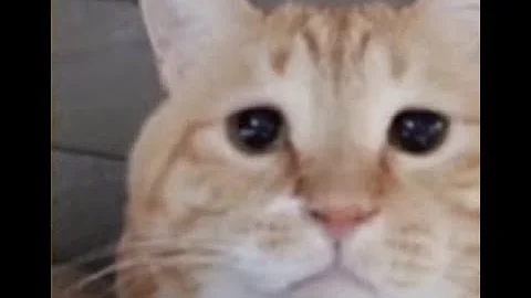 [First Viktor] Solar Flare 100% by linustechtips