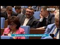 Величие и Красимира Катинчарова Пожарът край Костинброд може би е заради нов фотоволтаичен парк Величие и Красимира Катинчарова Пожарът край Костинброд може би е заради нов фотоволтаичен парк
