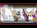 Swan Lake: The iconic arm movement of the swans | English National Ballet