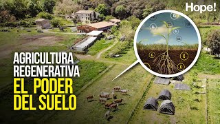 Agricultura regenerativa: el poder del suelo
