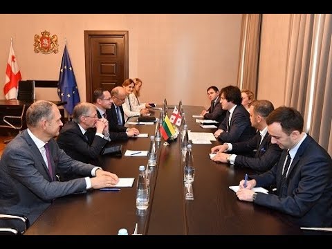 ირაკლი კობახიძის შეხვედრა ლიტვის რესპუბლიკის საპარლამენტო დელეგაციის წევრებთან