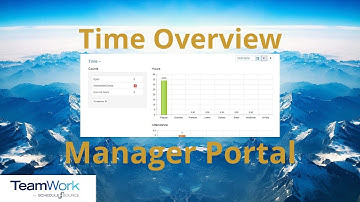 TeamWork 5 Manager Tutorial: How to View Your Time Overview