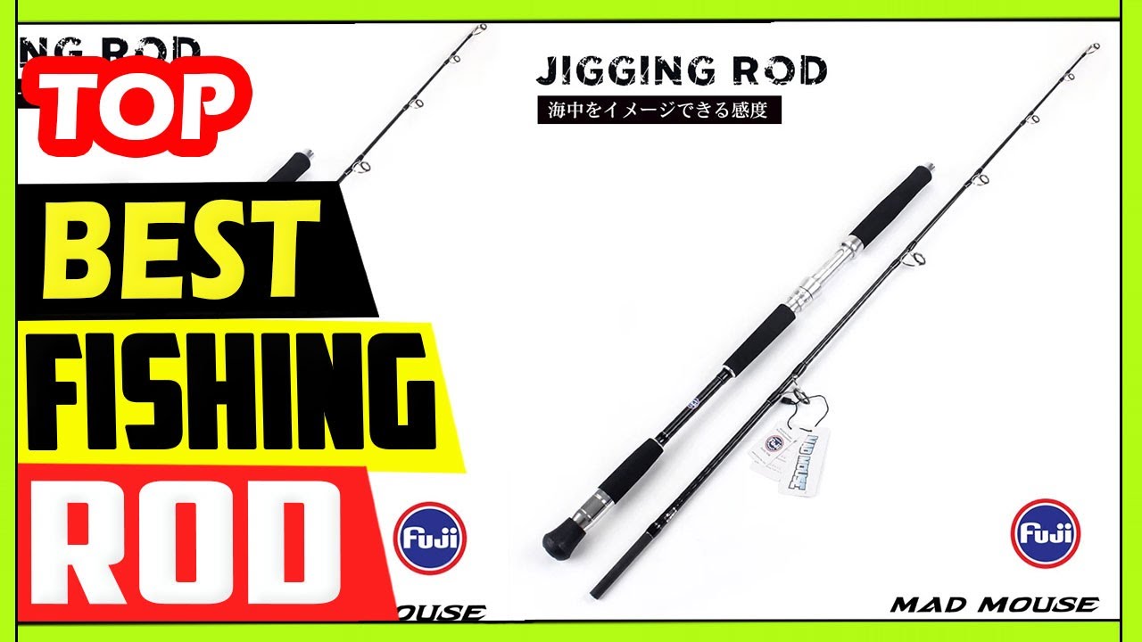 Best MADMOUSE Japan Quality Fuji Guides Boat Fishing Rod Review