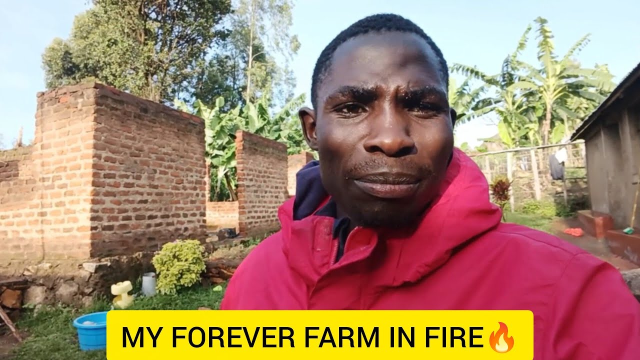 👉 Я потеряла всё... Пожалуйста, не игнорируйте мои слезы.