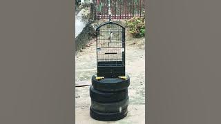 HUJAN OK....GEREJA CAW CAW NYAMBUNG KE NEW GEREJA