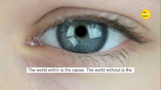 Master Your Mind: The Secret to Success & Abundance | The Wealth Code Project