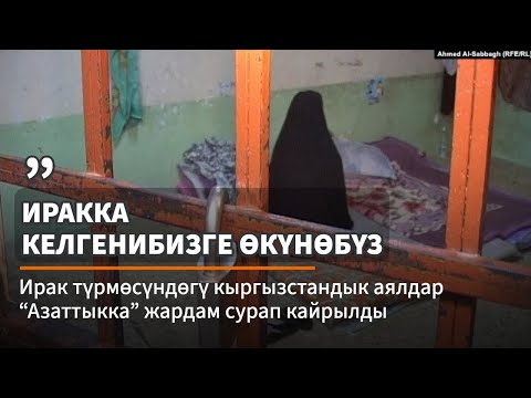 Video: Талдоо: Гарри Поттер жана Философтун ташы