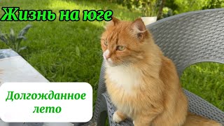 2059❤️Сюрприз с утра/ Собираем урожай/ первая летняя обработка сада