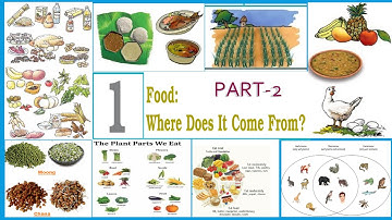 CHAPTER-1 PART- 2  NCERT VIDEO||TACKLEKNOWLEDGECHANNEL||TKC