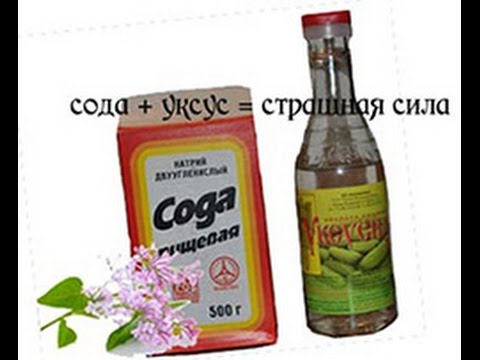 Сода + уксус = страшная сила / Soda + vinegar = awesome power