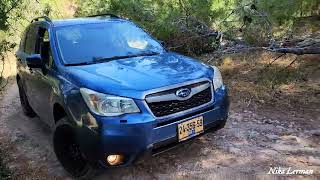 Subaru Forester 2014 off-road. From Zanoah to Mahseya