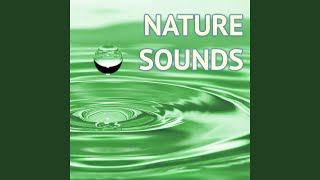 Clear Voice Soprano - Relaxing Chant screenshot 2