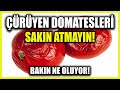 Çürümüş Domatesleri Atıyorsanız Artık Bir Daha Atmayacaksınız!