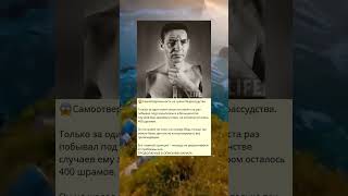 Самоотверженность на грани безрассудства  d