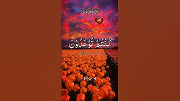 #القران {سورة فصلت} Hafiz imran Ahmad Rashadi #اكسبلور