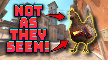 The History of Chickens in Counter-Strike