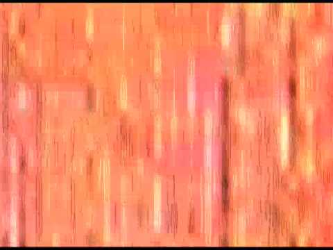 Opening Performance Orchestra - Binary Code I