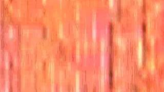Celebrity Opening Performance Orchestra - Binary Code I Net Worth