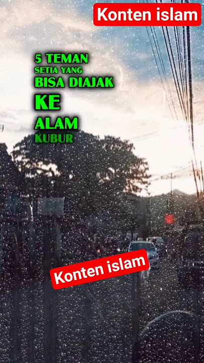 5 Loyal Friends Who Can Be Taken to the Grave #shorts #islam #islamiccontent