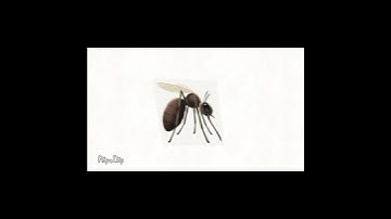 unfinished flipaclip animation from 2024 #shorts #flipaclip #animation #viral