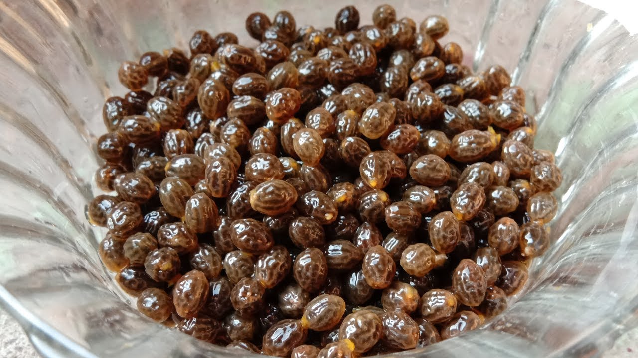 Les graines de papayes : le SECRET santé à portée  de ta main!