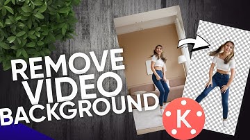 How to remove Background to any Video without Green Screen using KineMaster