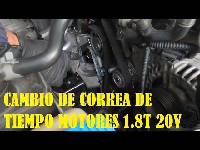 NTY RODILLO DE Desviación/guía Correa Acanalada RNK-FR-070 Plástico