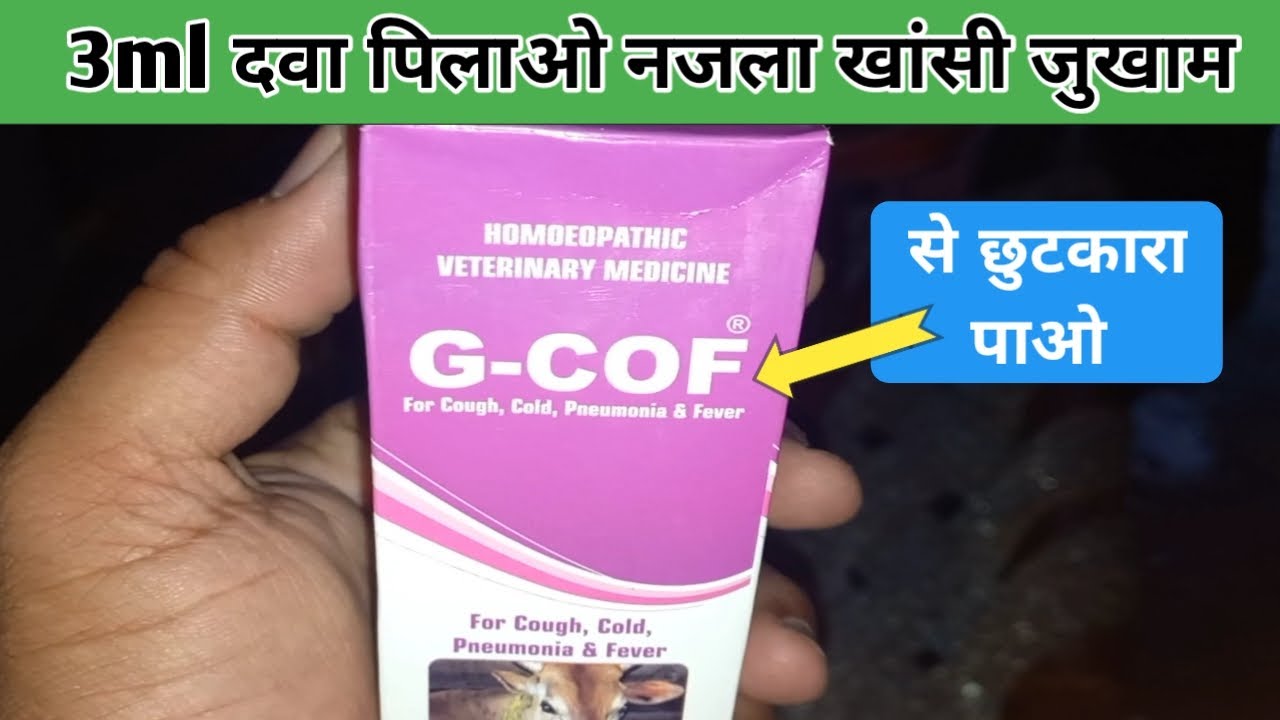 Cough & Cold in goat / 3ml दवा पिलाओ नजला खांसी जुखाम से छुटकारा पाओ