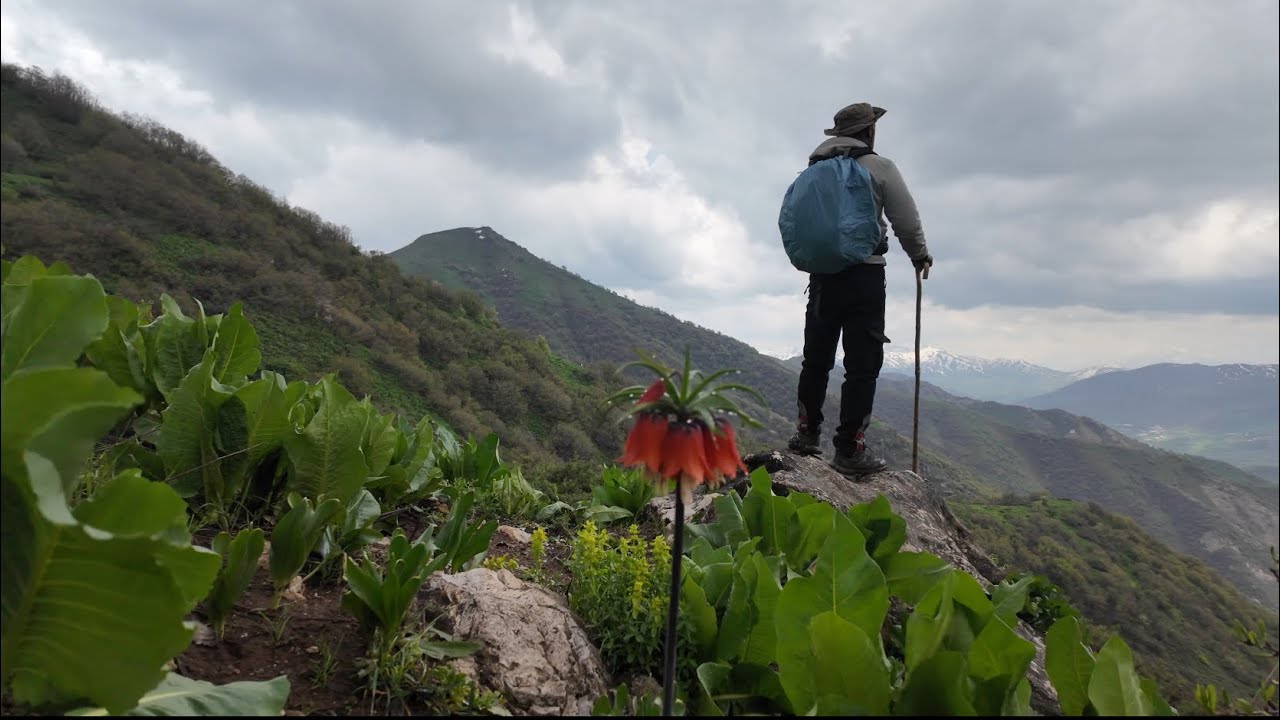 ZORLU MANTAR TOPLAYICILIĞI⛰️