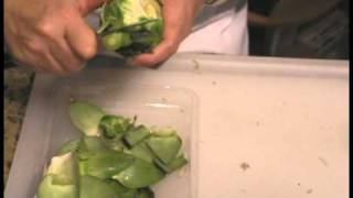 How to Peel Artichokes