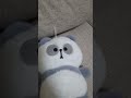 my new plushies from a claw machine! Welcome to your new home!!!