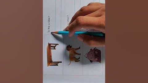 Std-3 English Primer (part-3) 6. What is this? (Fun time) (part-2)