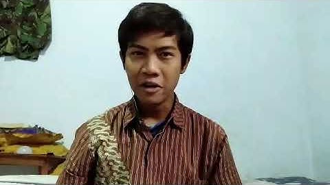 Phonological Rules, Assimilation, and Insertion