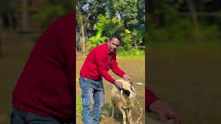 এইট কনত ভড ন