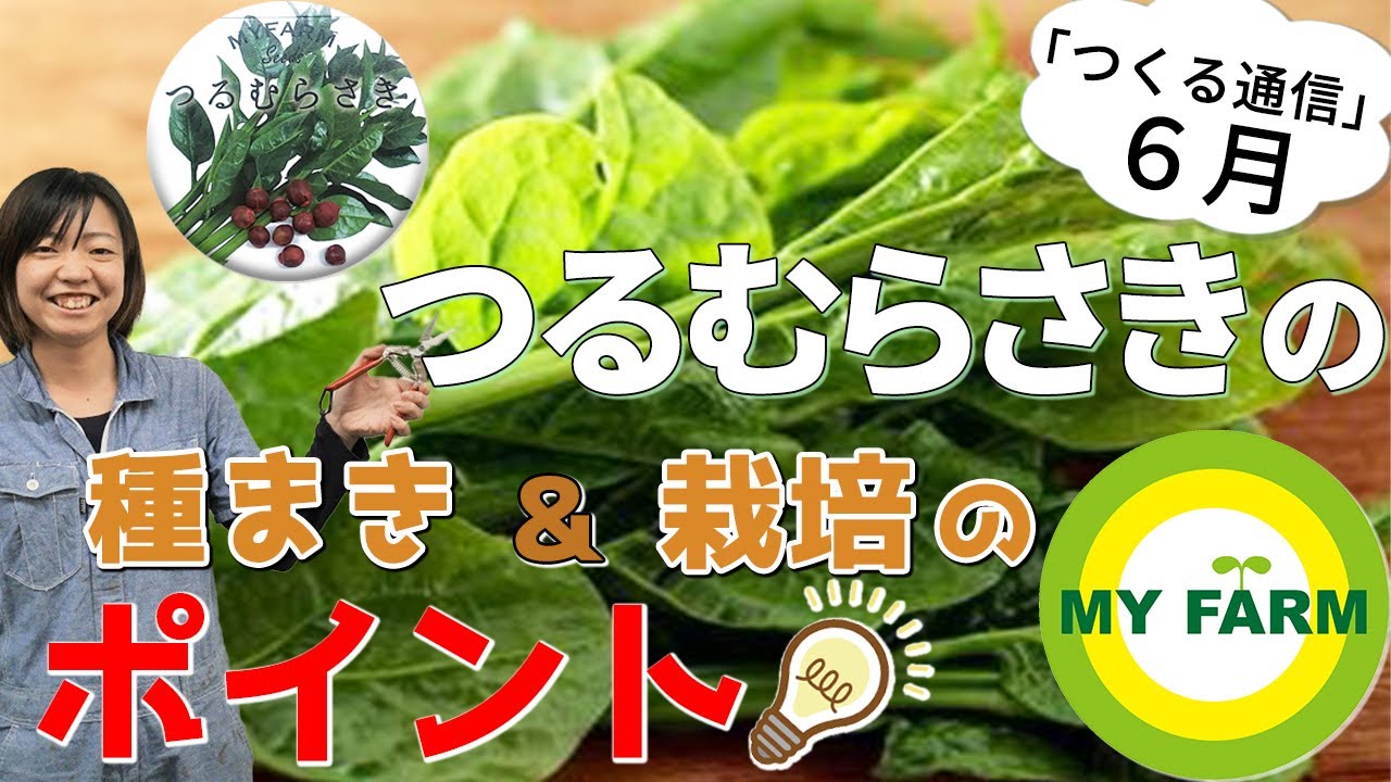 つるむらさきの育て方を徹底解説 種まきのコツや支柱ありorなしの栽培方法もしっかり解説 つくる通信6月のタネ Youtube