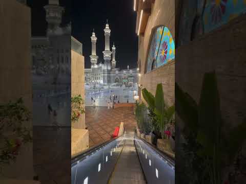 طال ليلي والليالي قرآن طال ليلي والليالي