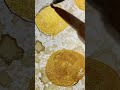 TikTokでバズった“写真には映らない美しさのあるドブネズミ”#shorts