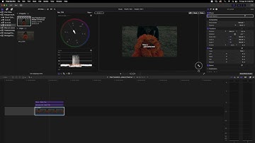 How to Free Transform in Final Cut
