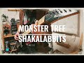 SHAKALABBITS - MONSTER TREE  ギター弾いてみた【guitar cover】