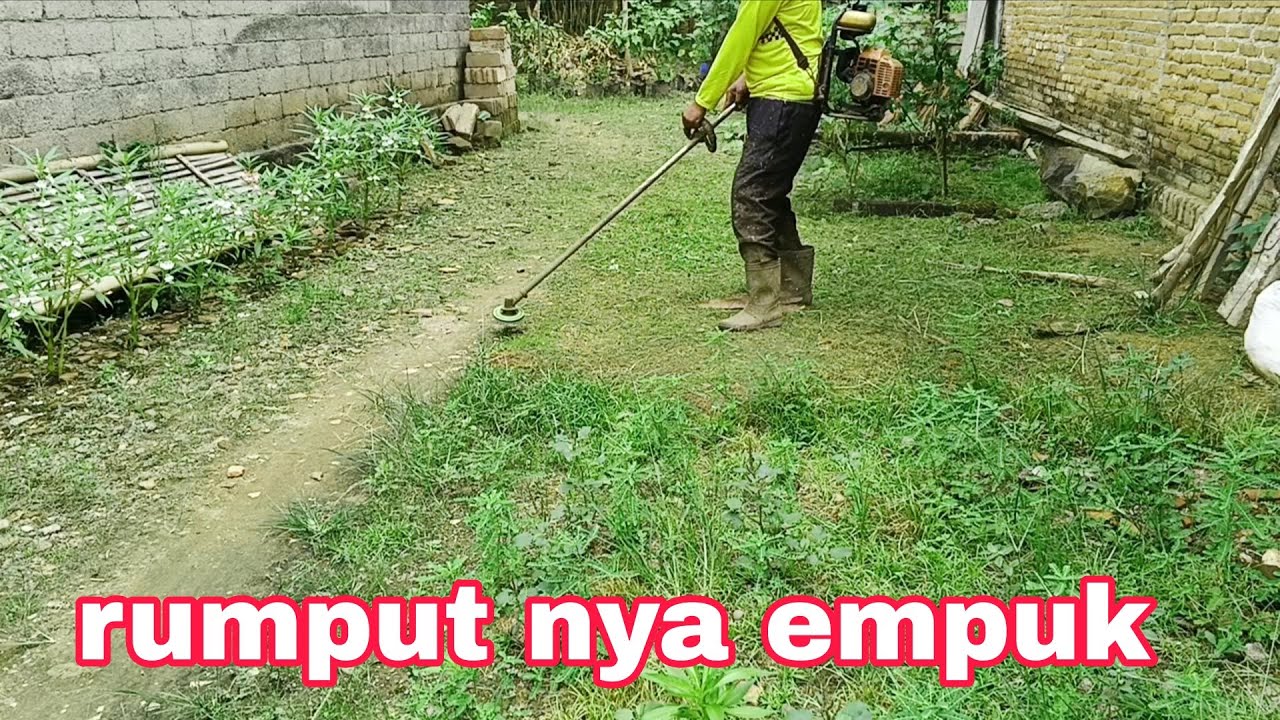 MESIN RUMPUT PENDEK