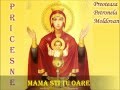 Mama sti tu oare - Priceasna.wmv