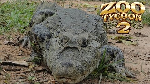 Zoo Tycoon 2: Broad-snouted Caiman Exhibit Speed Build