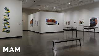 Gallery Walkthrough: "Nanette Carter: A Question of Balance"