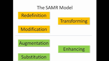 An introduction to the SAMR model