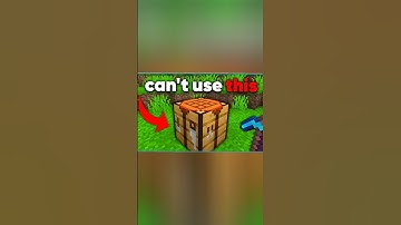 Minecraft but you can