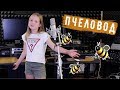 ПЧЕЛОВОД | СЕСТРИЧКИ ЛАЙФ  | cover RASA